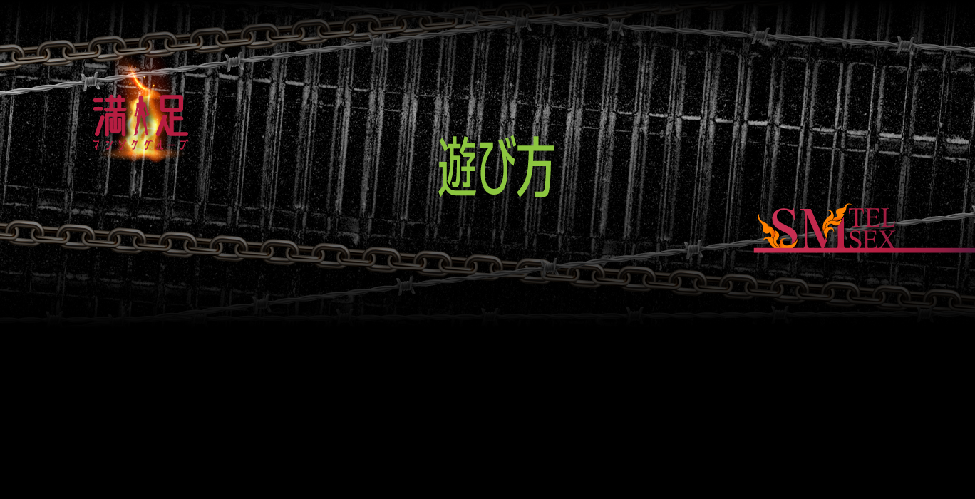 ご利用説明