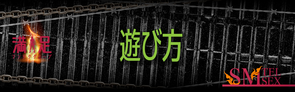 ご利用説明
